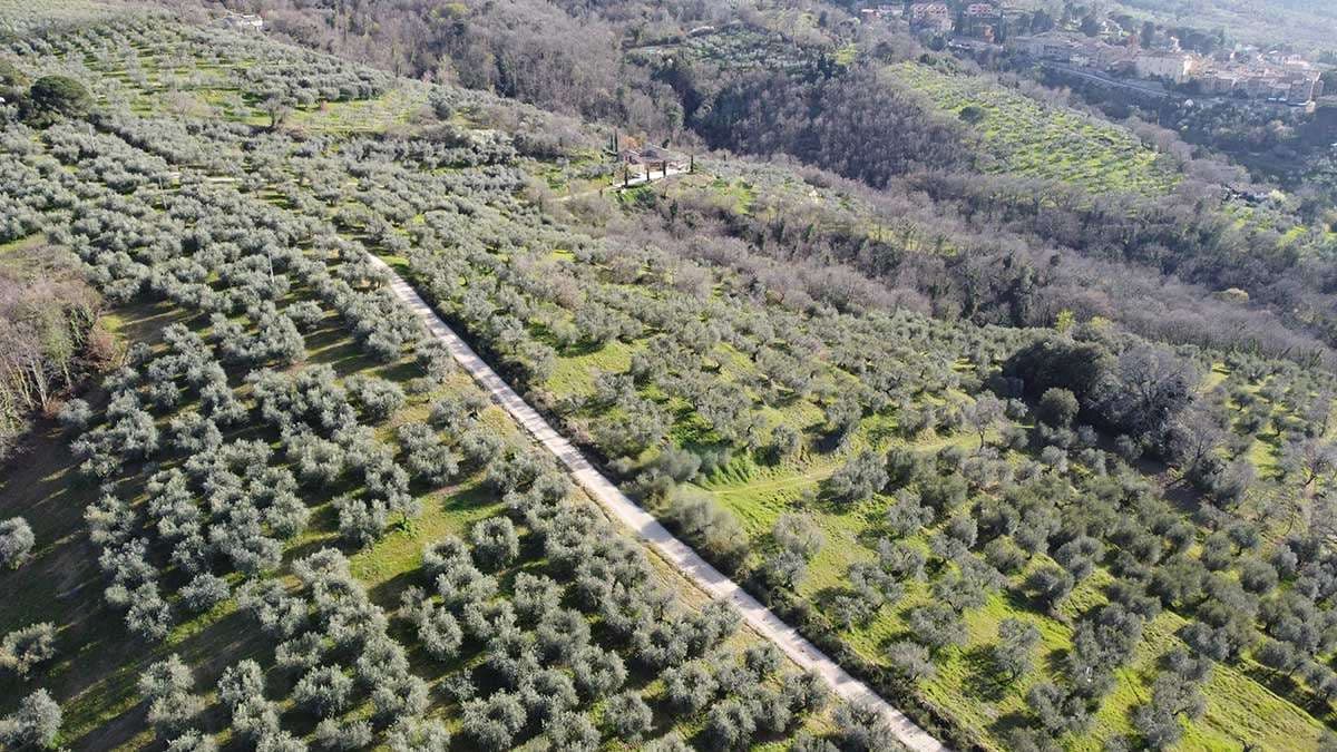 Paciano hills and Lake Trasimeno landscape