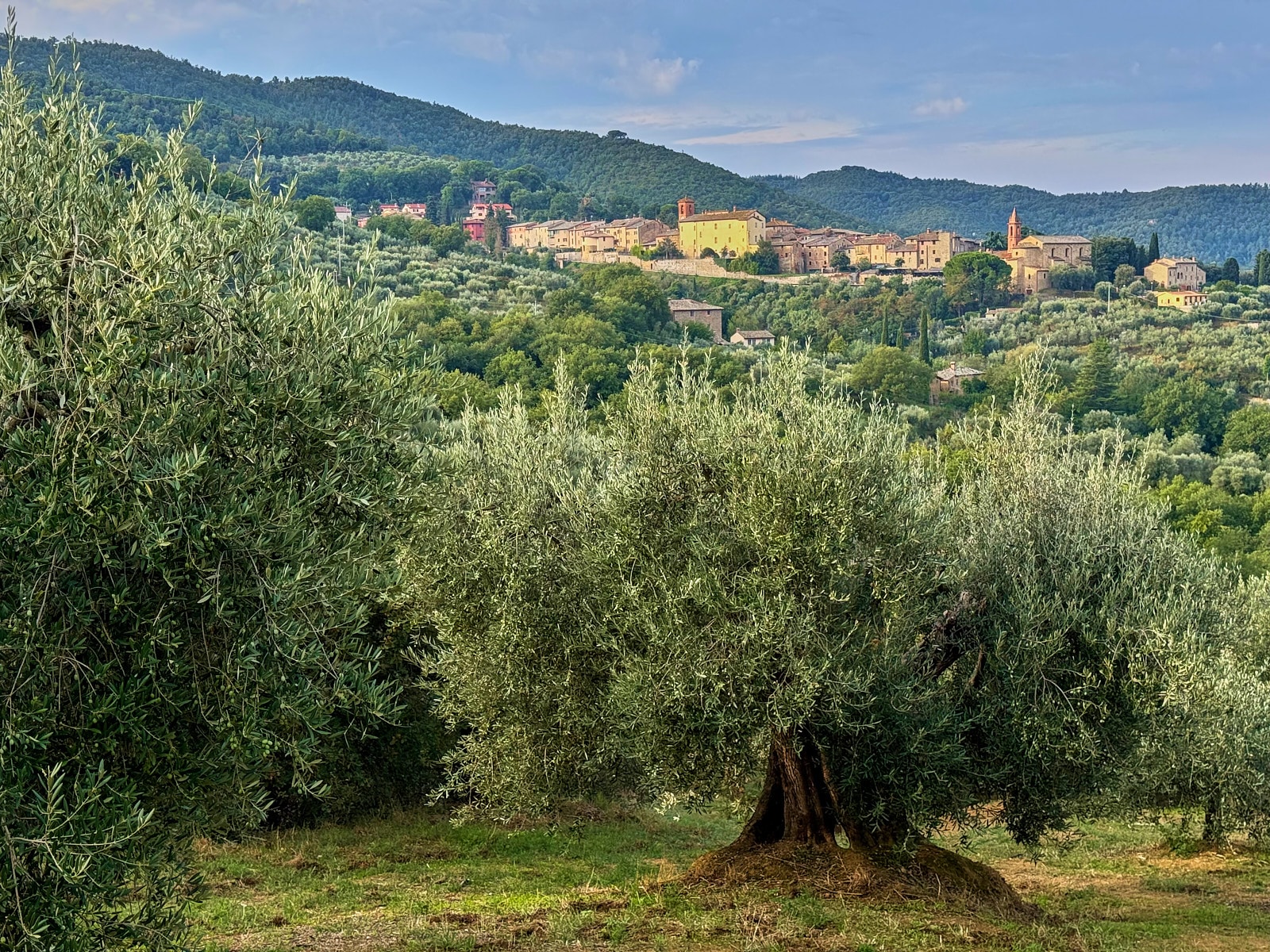 Paciano and Trasimeno landscape 2